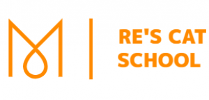 logo-re-s-school.png