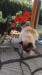 Monty_16._narozeniny