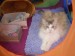 DSCN0563