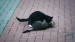 14_Video by A V from Pixabay - frame at 0m26s