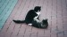 17_Video by A V from Pixabay - frame at 0m30s