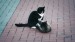18_Video by A V from Pixabay - frame at 0m30s