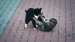 20_Video by A V from Pixabay - frame at 0m33s