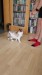 1_73ad6744-d3f6-43f0-adcc-cb50d05d8950 - frame at 0m0s