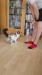 5_73ad6744-d3f6-43f0-adcc-cb50d05d8950 - frame at 0m5s
