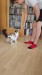 6_73ad6744-d3f6-43f0-adcc-cb50d05d8950 - frame at 0m6s