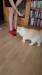2_93d8e9b5-4517-41bc-832b-f675f6f8ca75 - frame at 0m1s