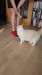 3_93d8e9b5-4517-41bc-832b-f675f6f8ca75 - frame at 0m2s