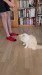 6_93d8e9b5-4517-41bc-832b-f675f6f8ca75 - frame at 0m9s