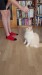 7_93d8e9b5-4517-41bc-832b-f675f6f8ca75 - frame at 0m10s