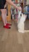 8_93d8e9b5-4517-41bc-832b-f675f6f8ca75 - frame at 0m11s