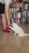 9_93d8e9b5-4517-41bc-832b-f675f6f8ca75 - frame at 0m12s