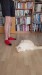 10_93d8e9b5-4517-41bc-832b-f675f6f8ca75 - frame at 0m15s