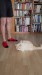 12_93d8e9b5-4517-41bc-832b-f675f6f8ca75 - frame at 0m17s