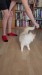 13_93d8e9b5-4517-41bc-832b-f675f6f8ca75 - frame at 0m27s