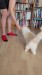 14_93d8e9b5-4517-41bc-832b-f675f6f8ca75 - frame at 0m28s