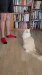 15_3d8e9b5-4517-41bc-832b-f675f6f8ca75 - frame at 0m33s