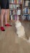 17_93d8e9b5-4517-41bc-832b-f675f6f8ca75 - frame at 0m34s