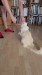18_93d8e9b5-4517-41bc-832b-f675f6f8ca75 - frame at 0m42s