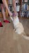 19_93d8e9b5-4517-41bc-832b-f675f6f8ca75 - frame at 0m46s