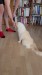 20_93d8e9b5-4517-41bc-832b-f675f6f8ca75 - frame at 0m48s
