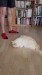 21_93d8e9b5-4517-41bc-832b-f675f6f8ca75 - frame at 0m53s