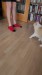 93d8e9b5-4517-41bc-832b-f675f6f8ca75 - frame at 0m0s