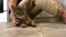 3_vecteezy_a-man-sitting-on-the-floor-strokes-a-happy-gray-cat_49311037 - frame at 0m1s