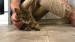 12_vecteezy_a-man-sitting-on-the-floor-strokes-a-happy-gray-cat_49311037 - frame at 0m10s